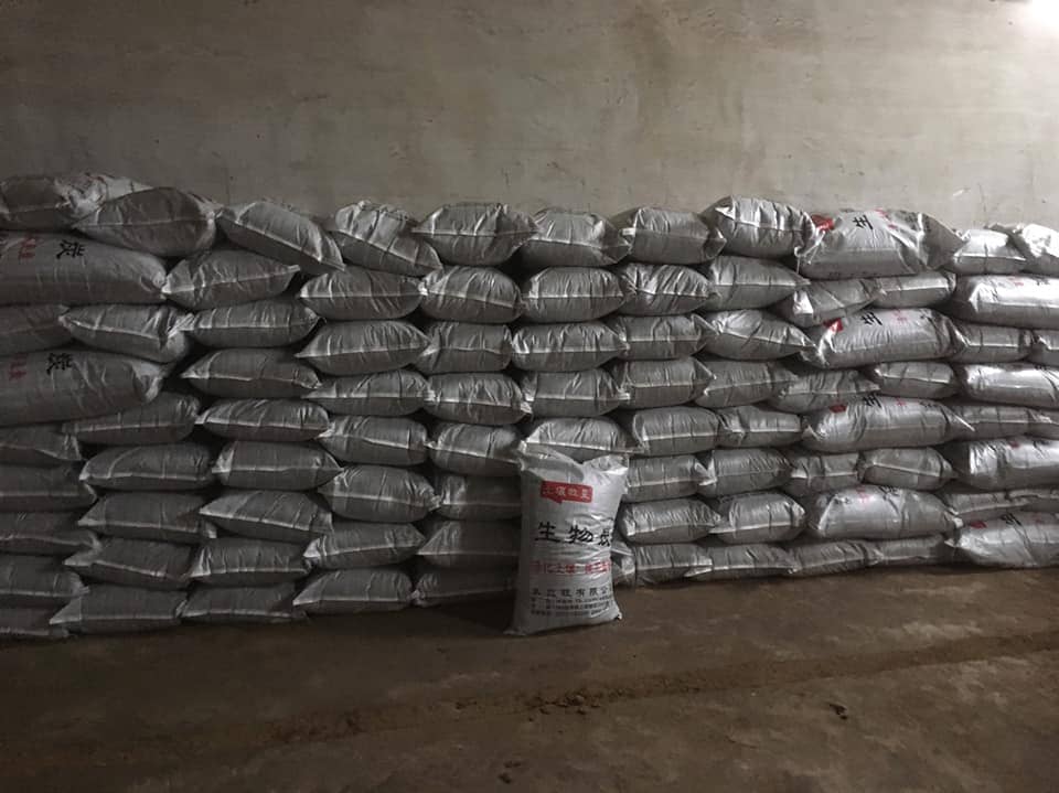 使用生物炭改善土壤環境並有效提升作物生長速度
